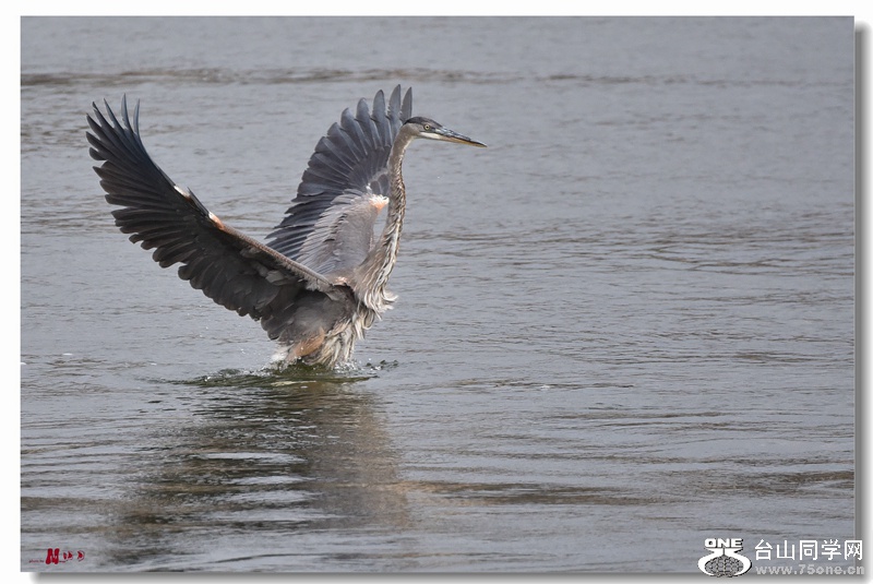 DSC_4323_.jpg