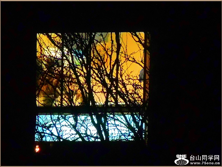 DSCN5571.jpg