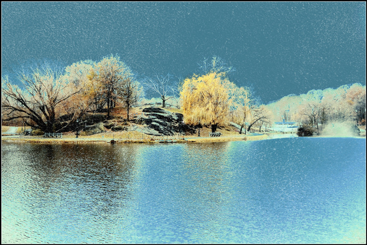 DSCN5441.jpg