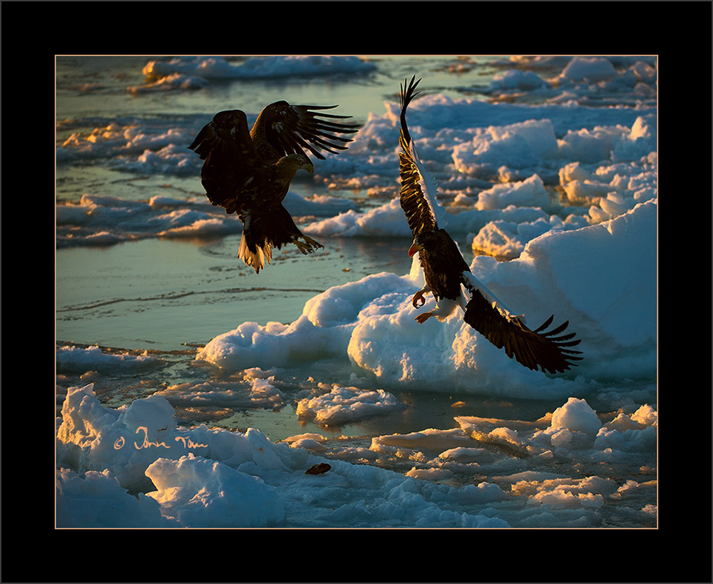 f_DSC3063j.jpg