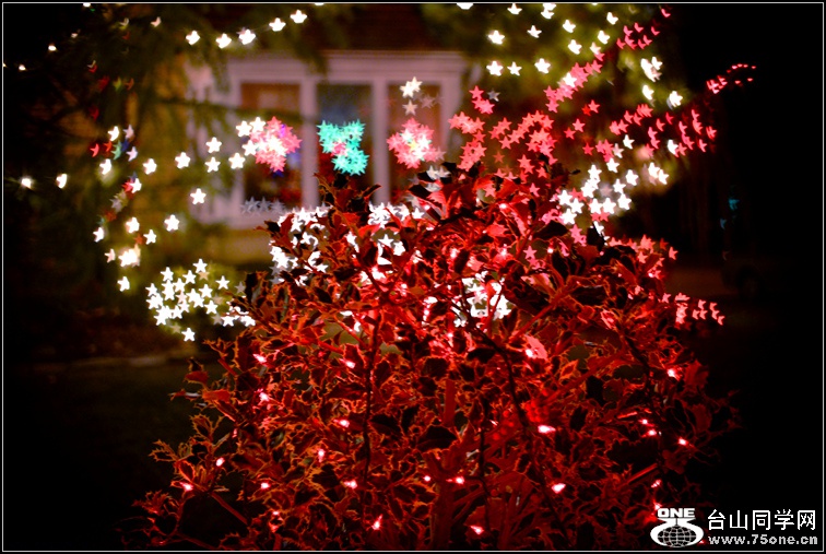 DSC_2288.jpg
