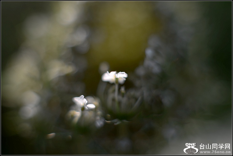 DSC_4345.jpg