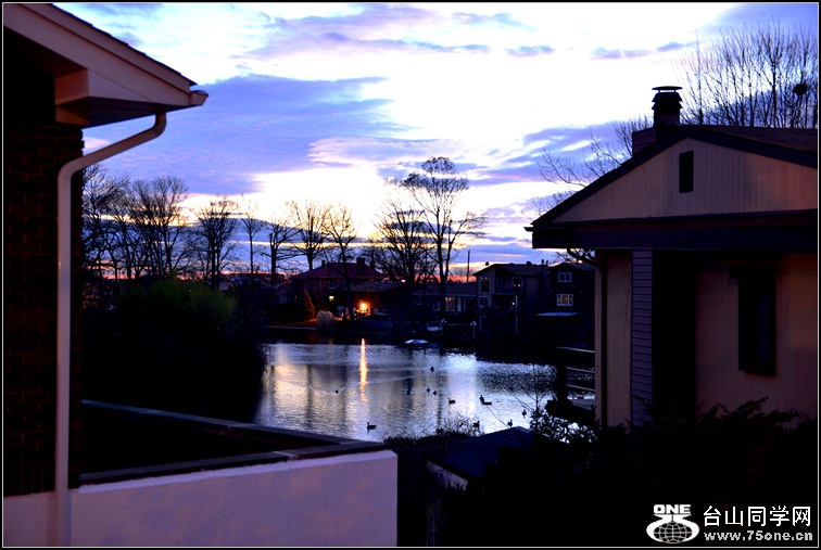 DSC_2274.jpg