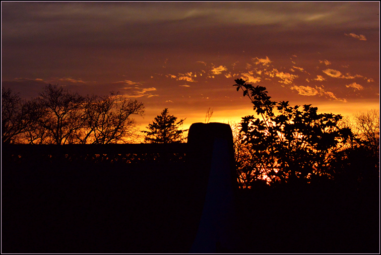 DSC_6372.jpg