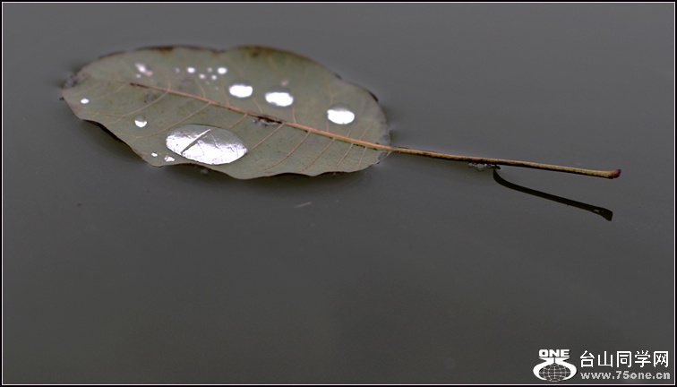DSC_1373.jpg