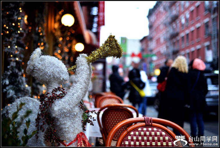 DSC_2685.jpg