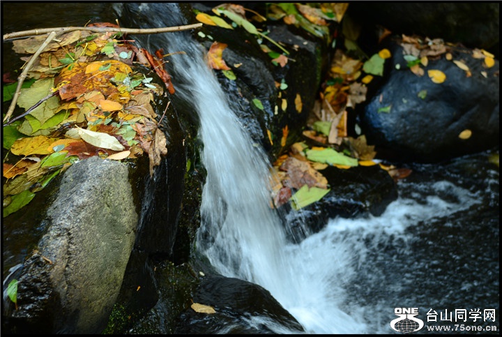 DSC_5582.jpg