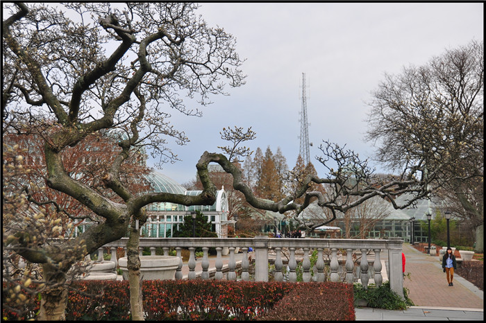DSC_0023.jpg