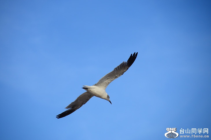 DSC_3281_.jpg