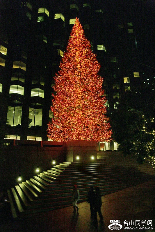 2014_12_27 SFT_ 1036.jpg