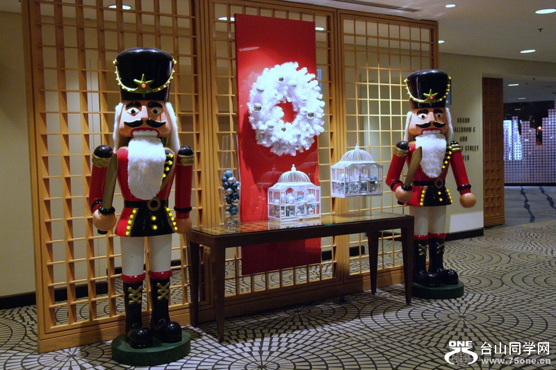 2014_12_27 SFT_ 1041.jpg