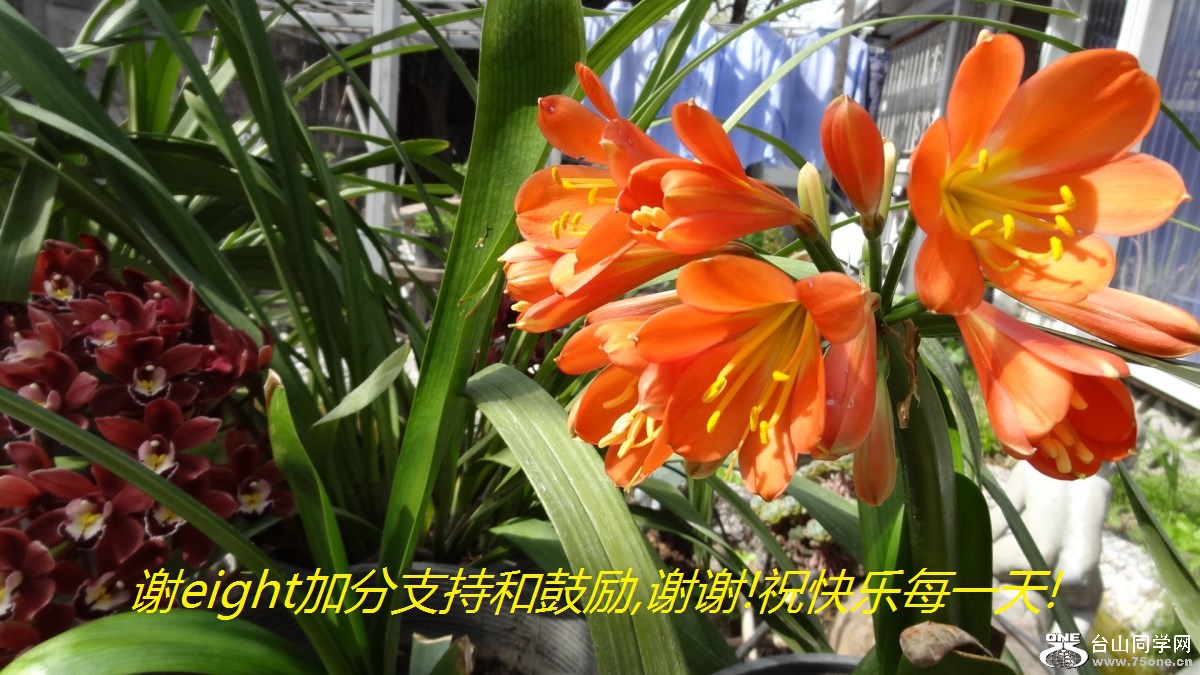 лeightӷֺ֧͹,лл!ףÿһ!.jpg