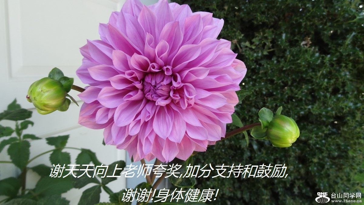 лʦ佱,ӷֺ֧͹,лл!彡!.jpg