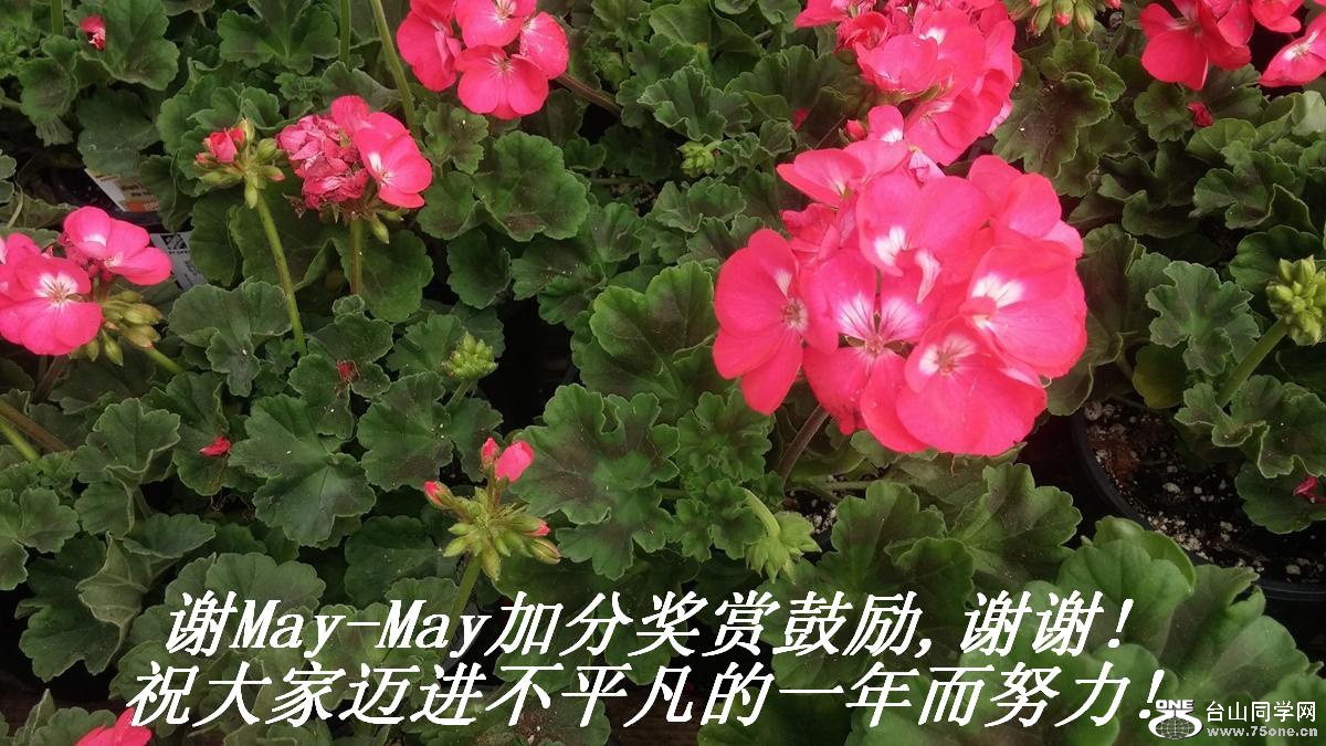 лMay-Mayӷֽ͹,лл!ףƽһŬ!.JPG