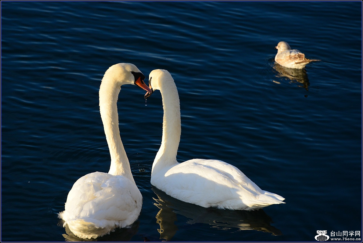 DSC_9486.jpg
