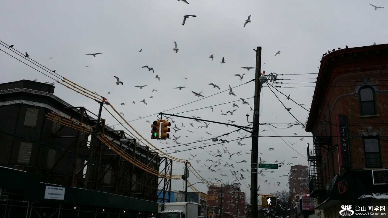 20150125000705.jpg