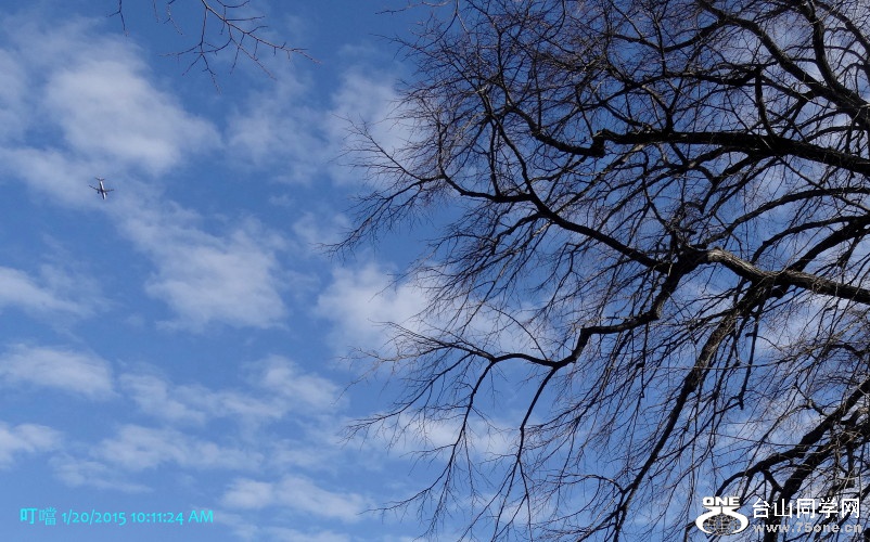 DSC04832a_1.jpg