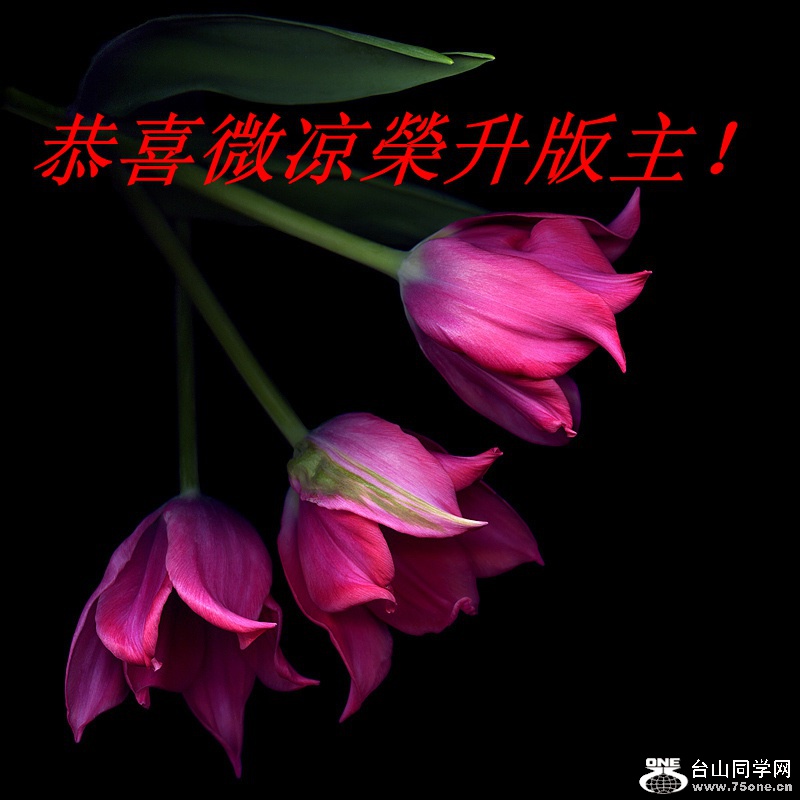 150_2492_dd3803353d85023_.jpg