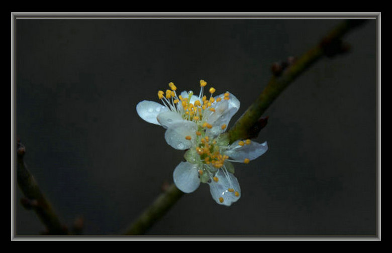 DSC_3216_1.JPG