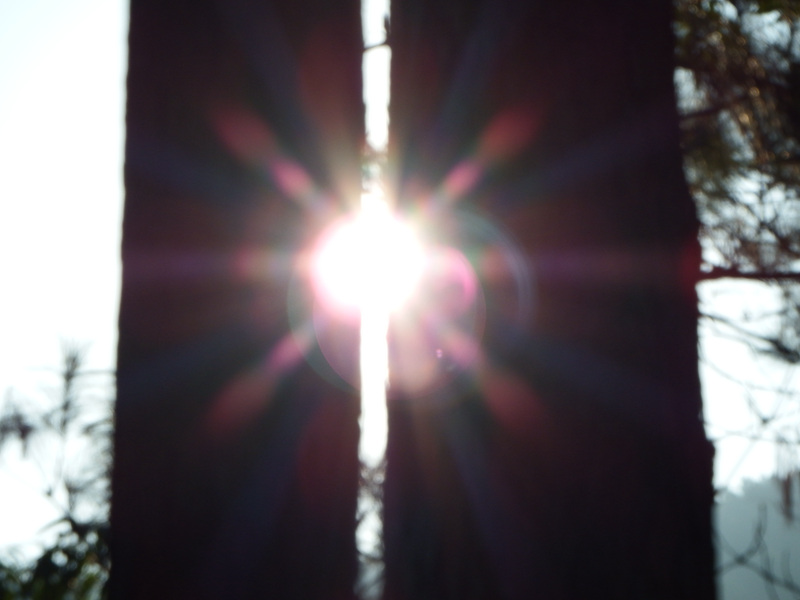 DSCF0130.jpg