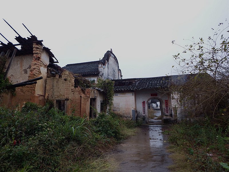 DSCF0227.jpg