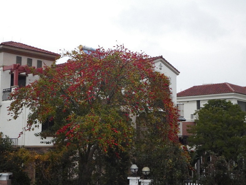 IMG_0285.jpg