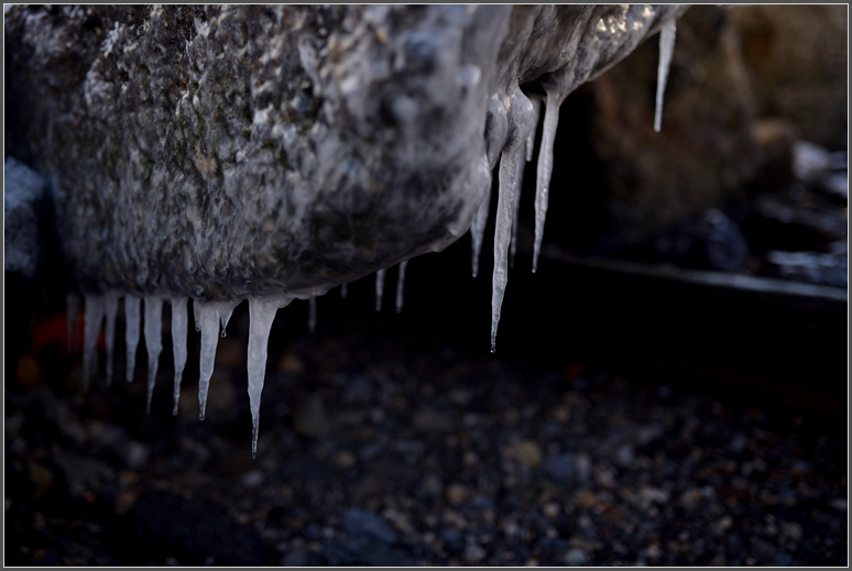 DSC_4009.jpg