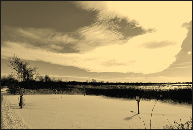 DSC_6402.jpg