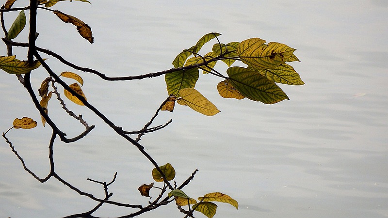 DSCF0325.jpg