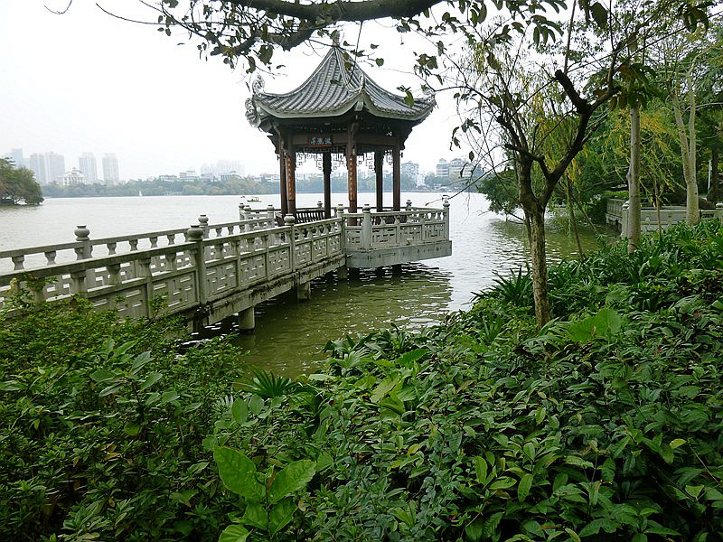 DSCF0202.jpg