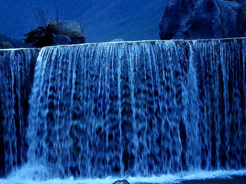 DSCF8754.jpg