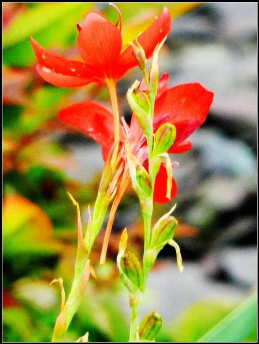 1234567890ke 042_.jpg