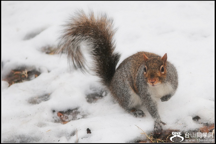 DSC_2875.JPG