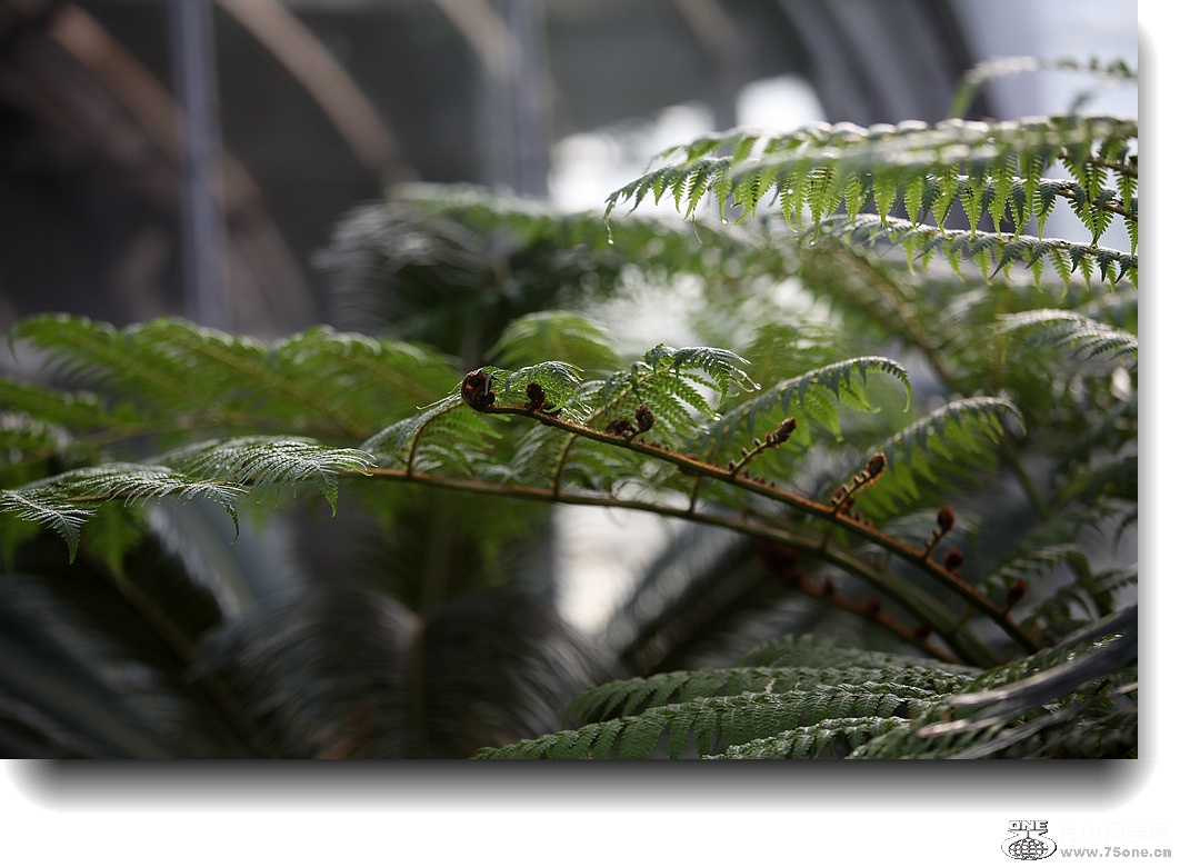 IMG_2873a.jpg
