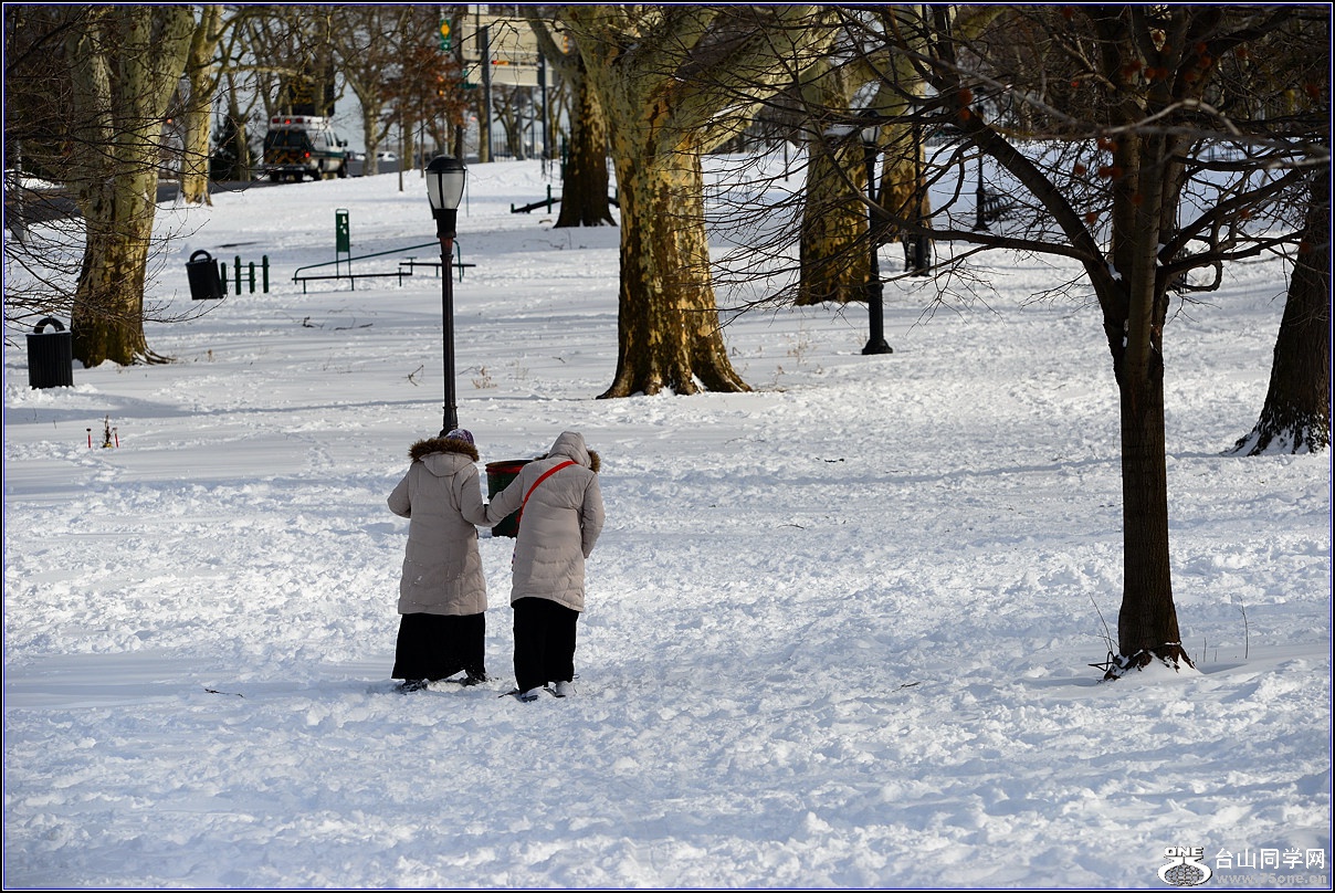DSC_1620.jpg