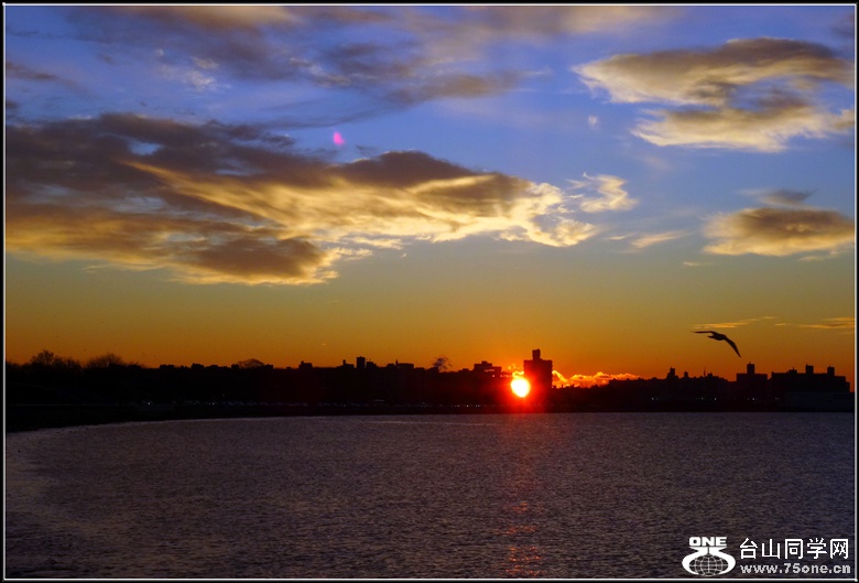 dsc00806_.jpg