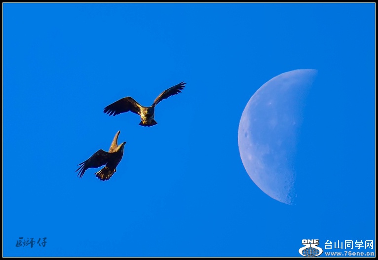 DSC_1050a.jpg