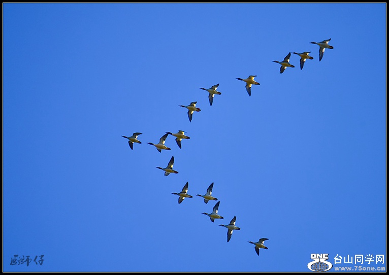 DSC_1469.jpg