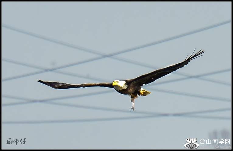 DSC_0640a.jpg