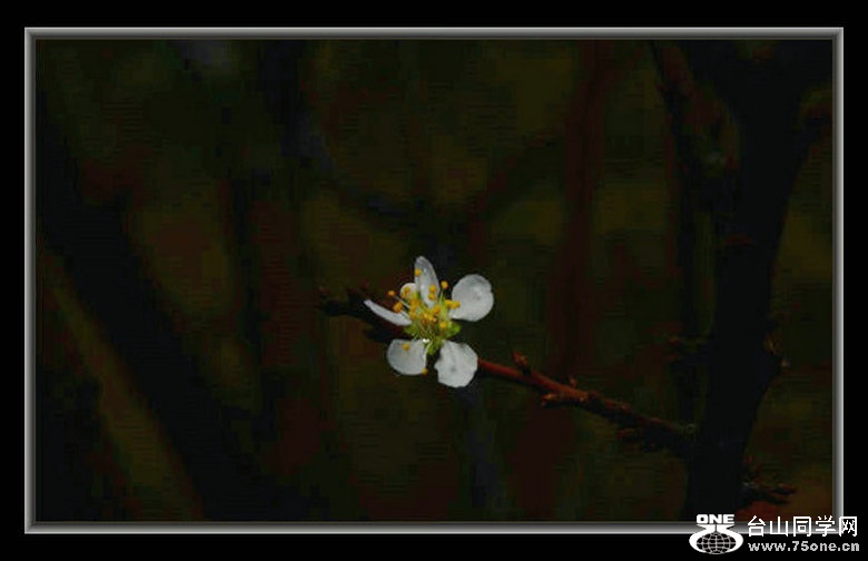 DSC_3226_1.JPG