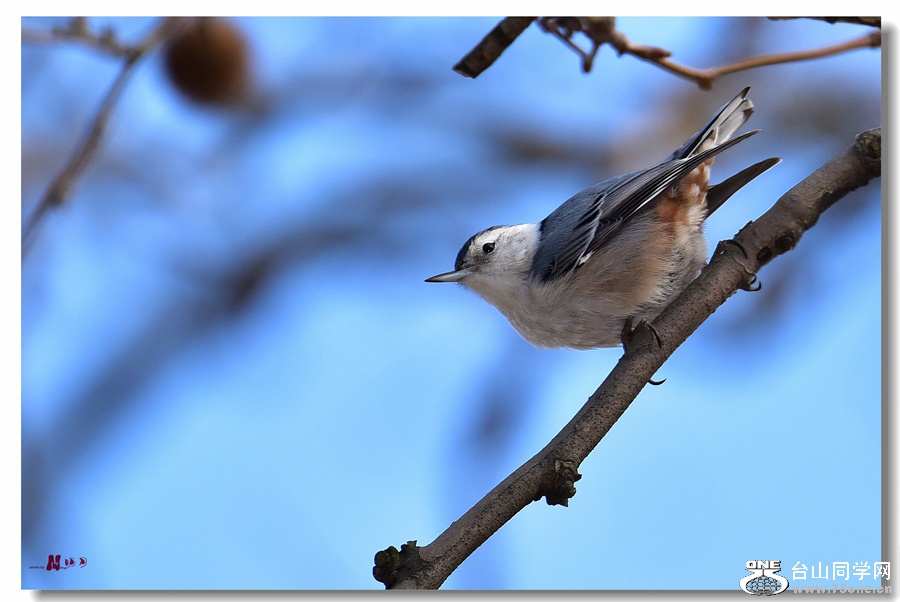 DSC_9576__.jpg