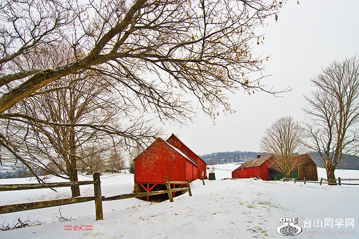 DSC_6032C1.jpg