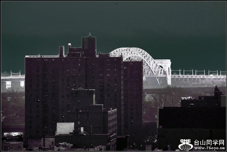 DSCN1784.jpg