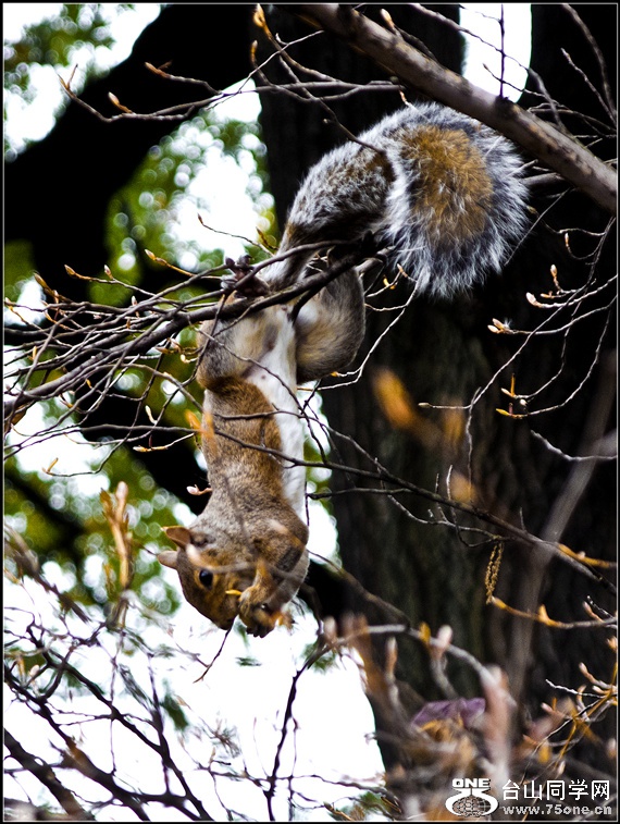 DSC_1346.jpg