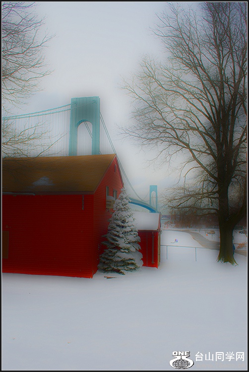 DSC_6204.jpg