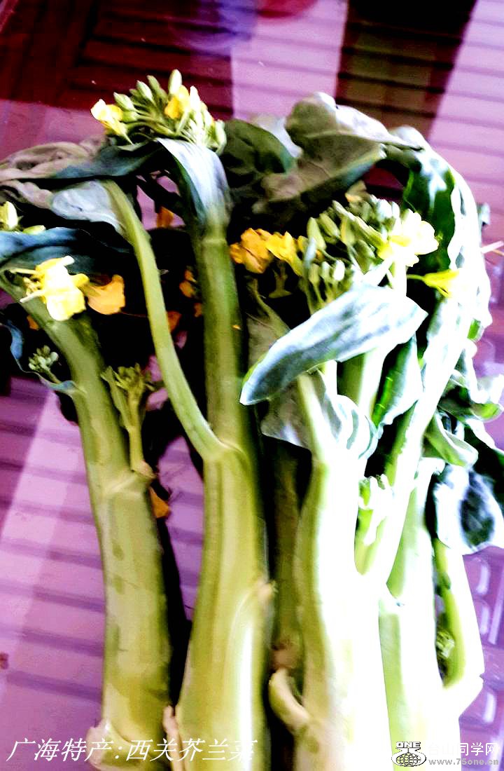 2015-01-23 12.25.25.jpg