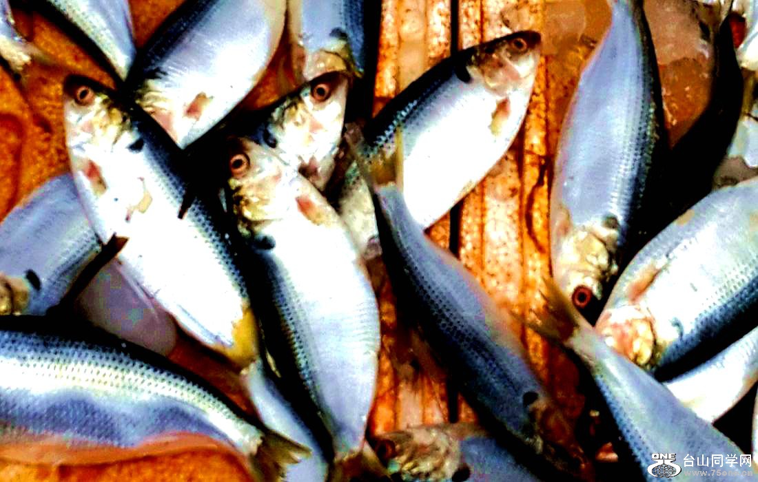 2015-01-10 09.55.05.jpg