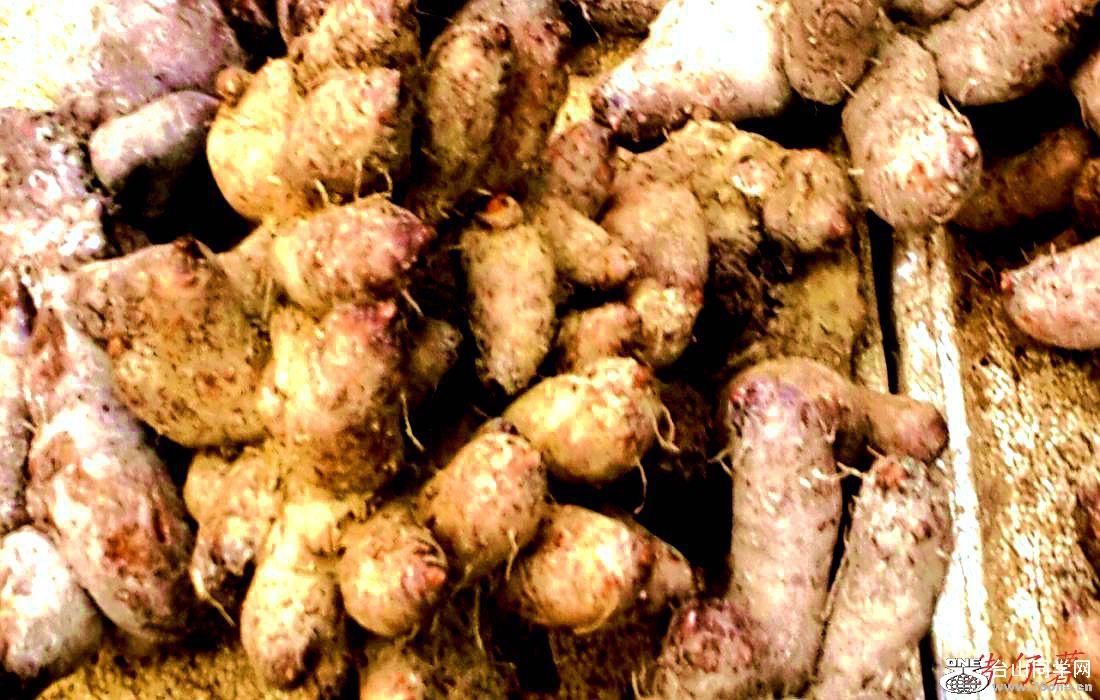 2015-01-10 09.57.00.jpg