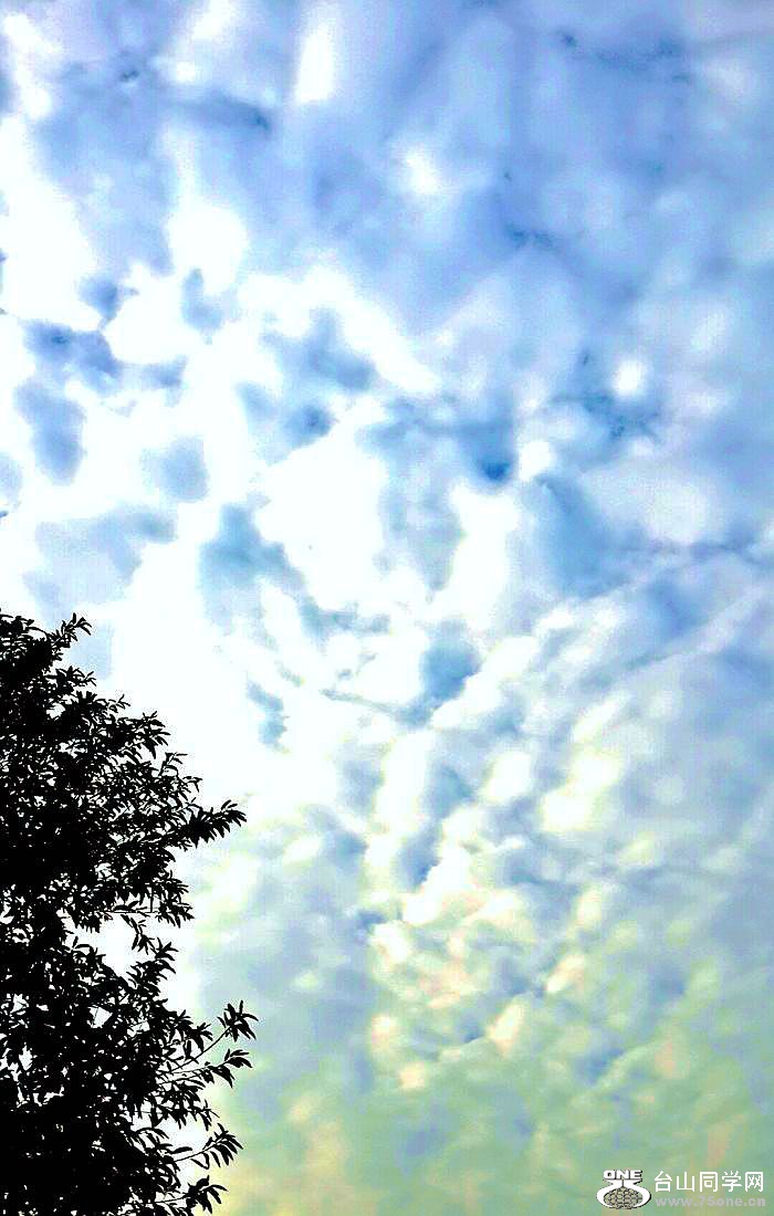 2015-01-10 15.30.13.jpg