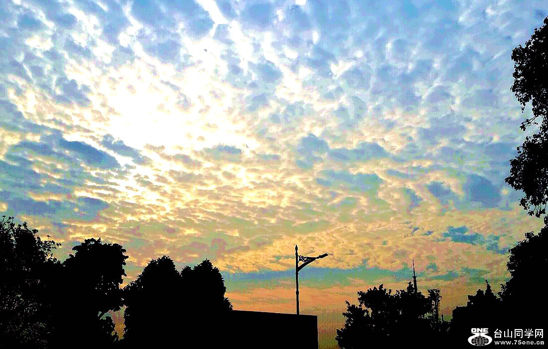 2015-01-10 15.33.44.jpg